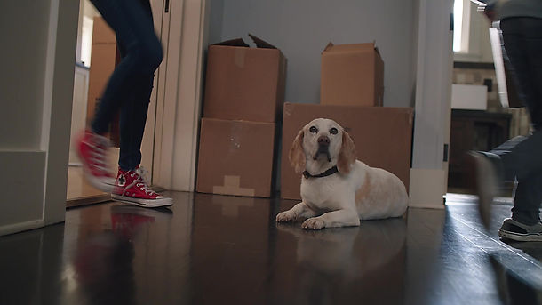Home Moments - Dog Door - Commercial